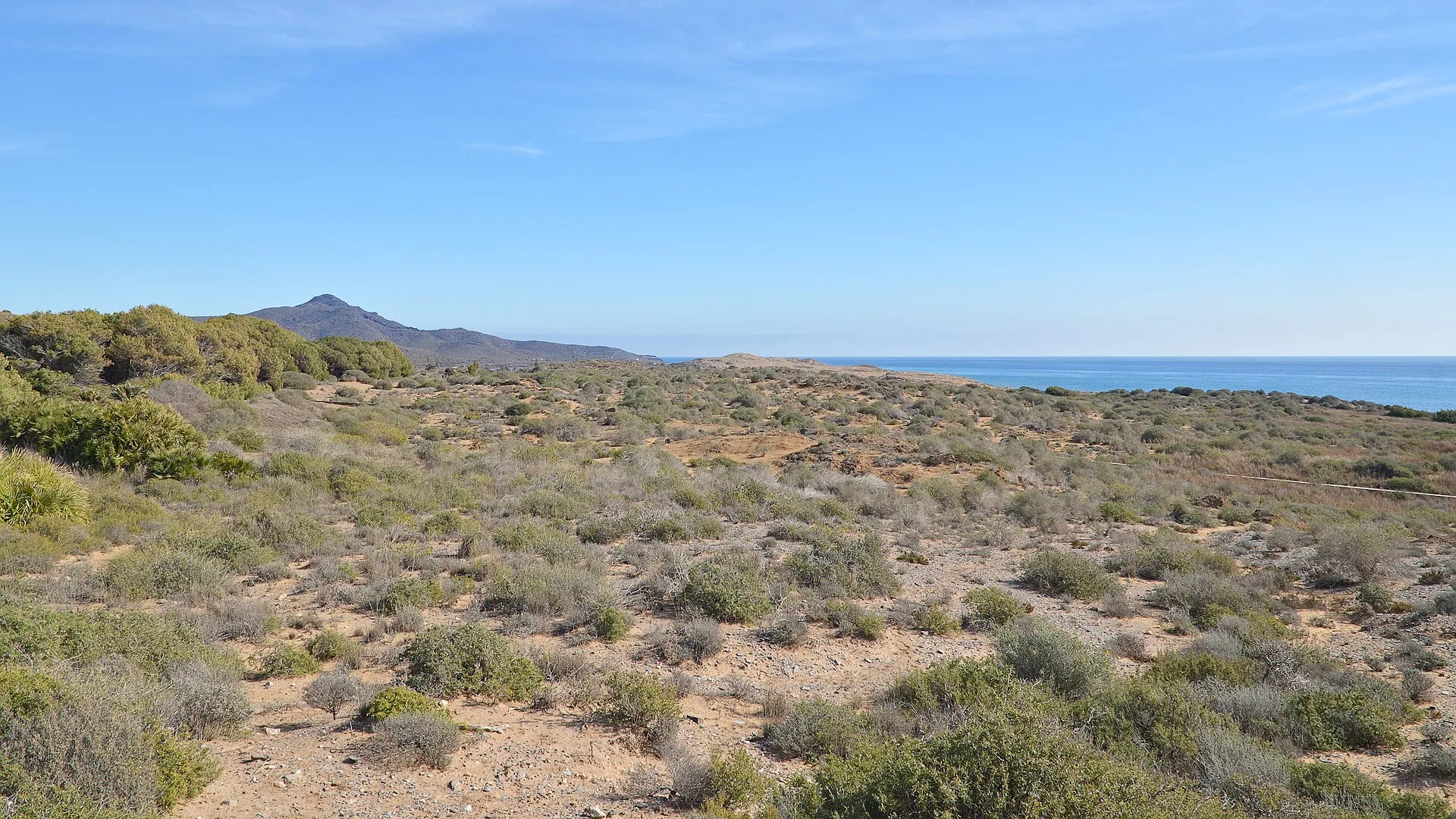 Playa Larga